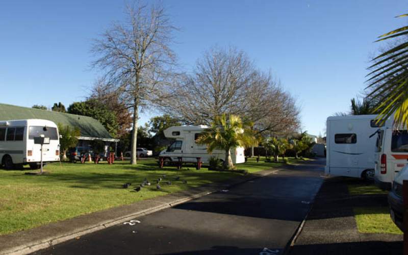 Auckland North Shore Holiday Park Full Service Camp New Zealand