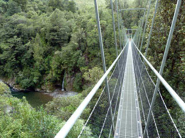 NZ&#039;s Longest Swing Bridge