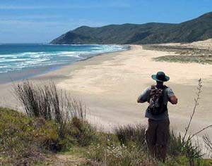 Looking north along Te Werahi Beach