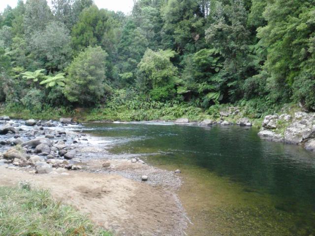 Dickey Flat Campsite | Freedom/Basic Camp | New Zealand