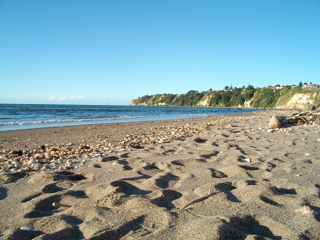 Maketu Beach Holiday Park | Full Service Camp | New Zealand