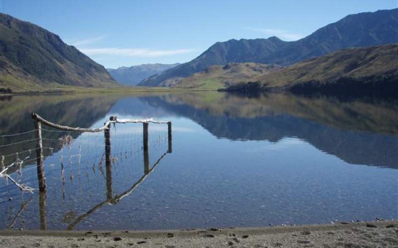 Lake Taylor Campsite | Freedom/Basic Camp | New Zealand